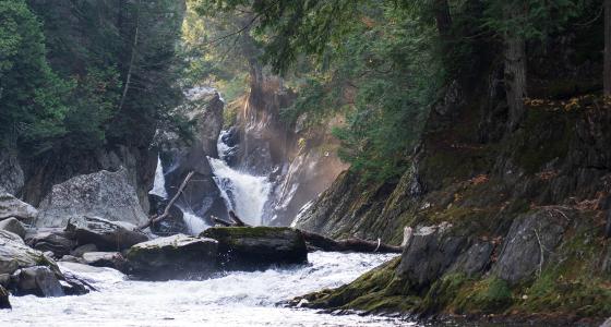Sunlight reaches across big falls as the water pours over and around the moss-covered rocky outcropping, the falls are surrounded by trees on both sides.