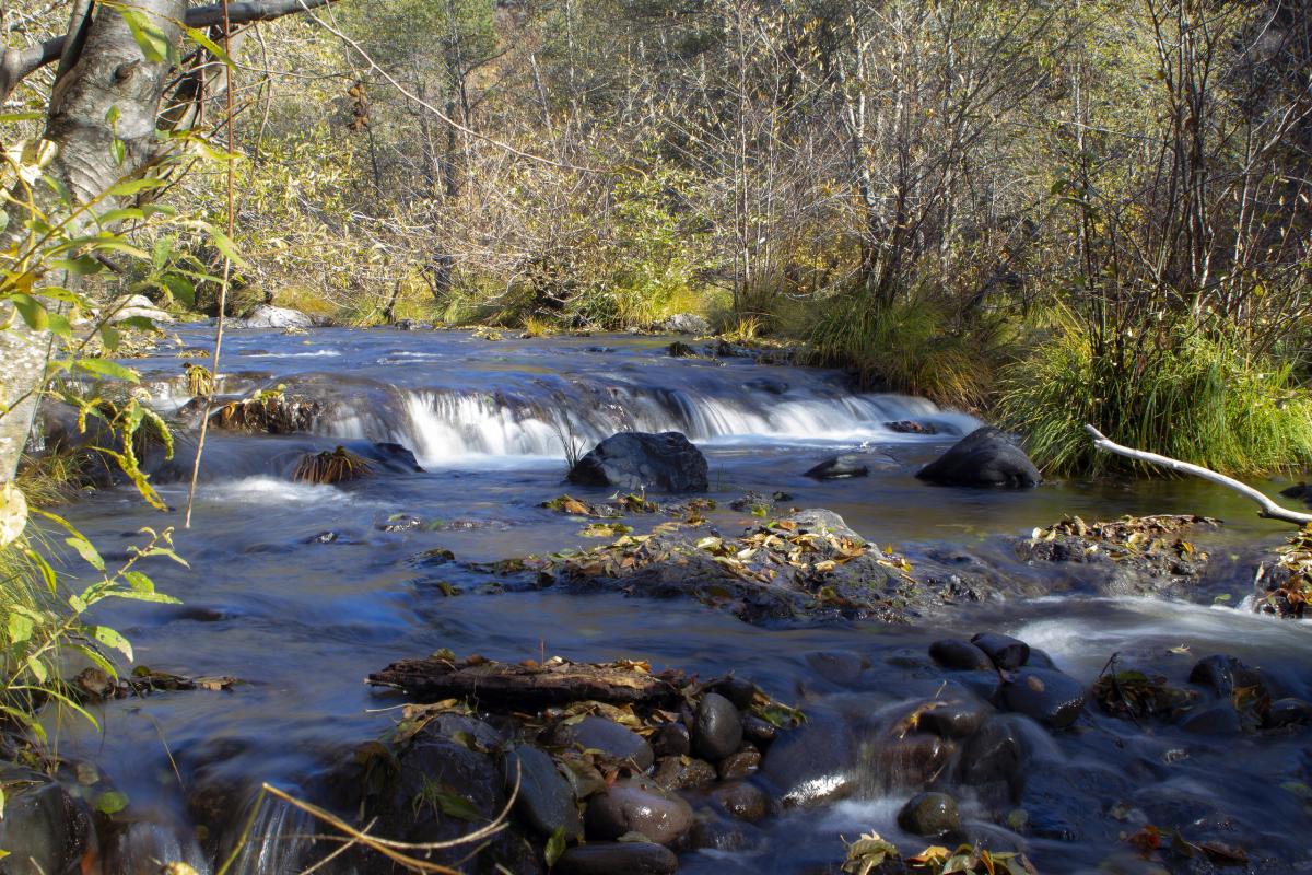 Elk Creek, Oregon