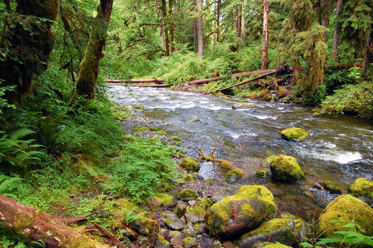Elkhorn Creek, Oregon
