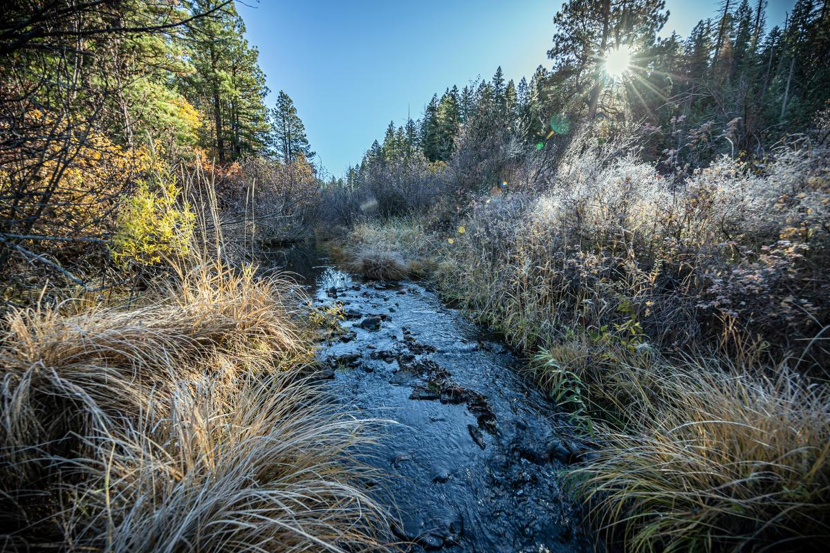 Jenny Creek, Oregon