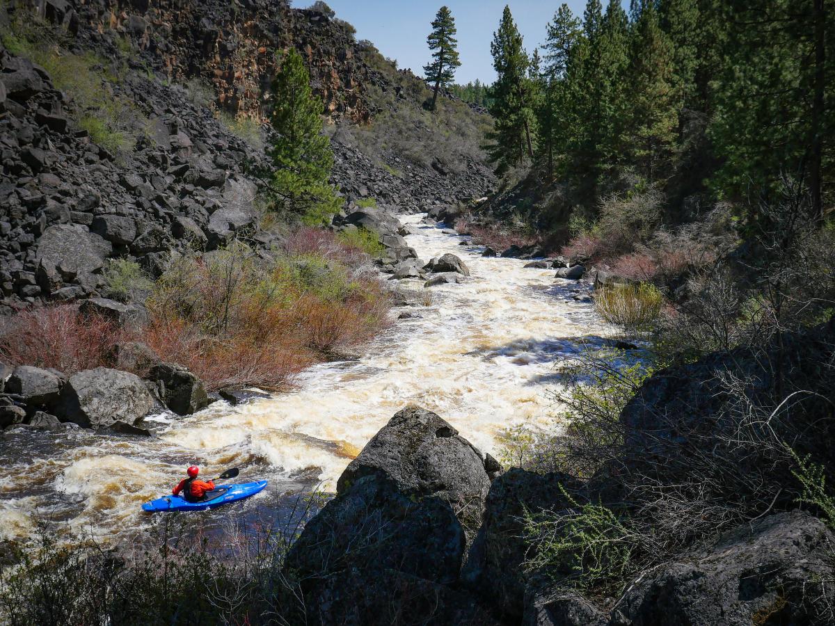 Sycan River, Oregon