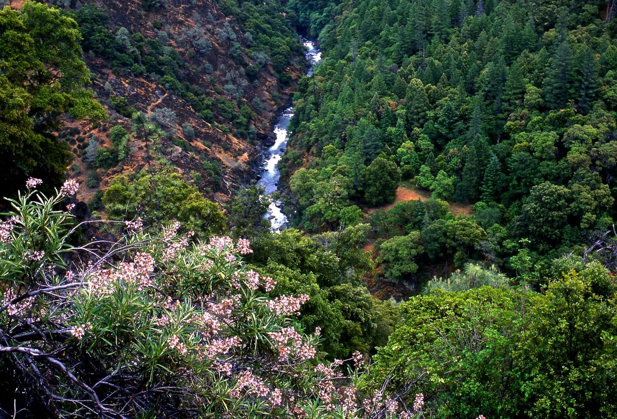 Trinity River, California