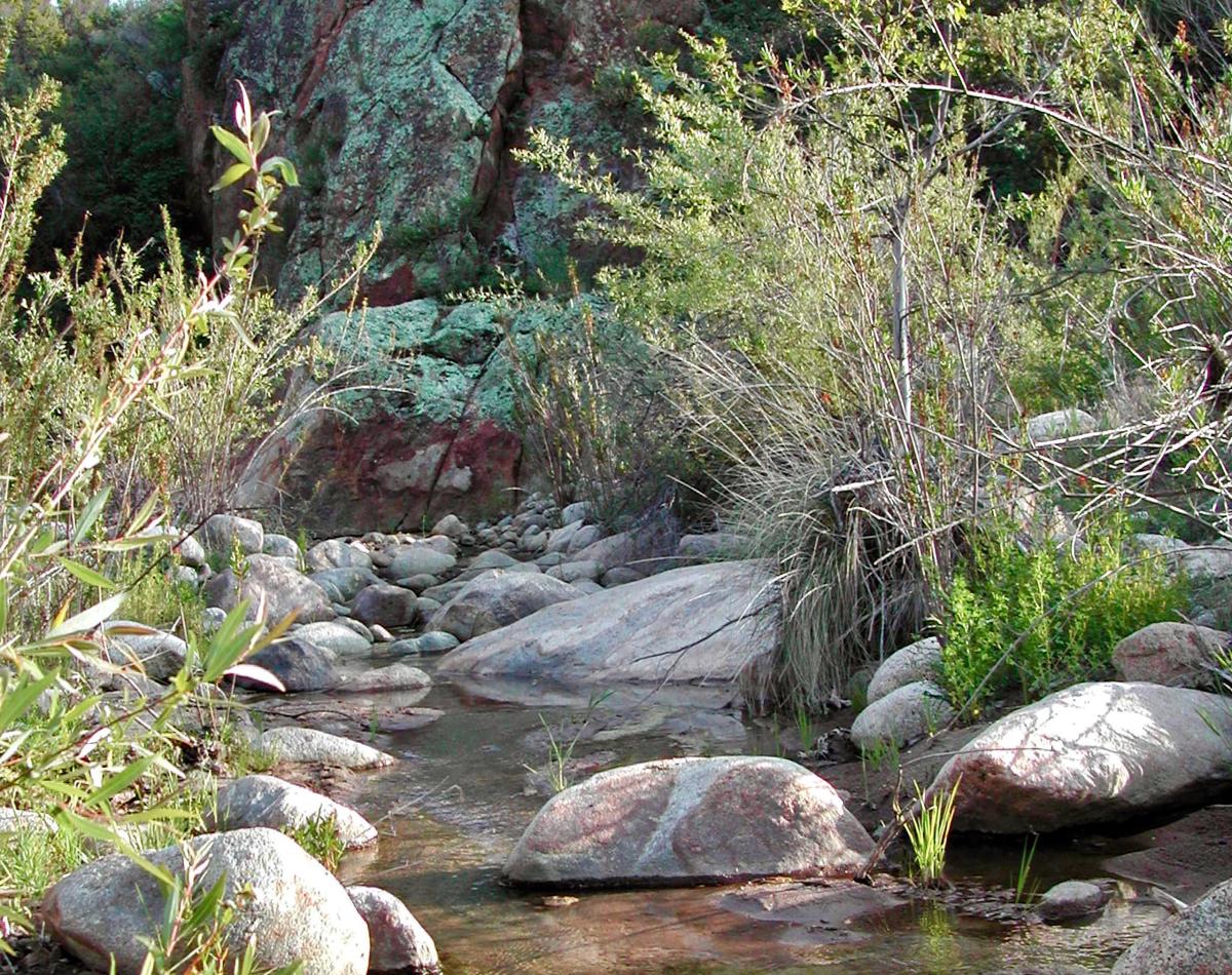 Bautista Creek, California