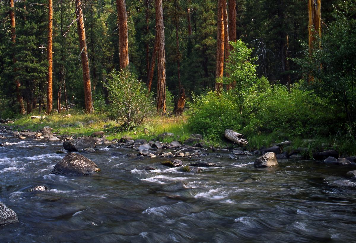 Malheur River, Oregon