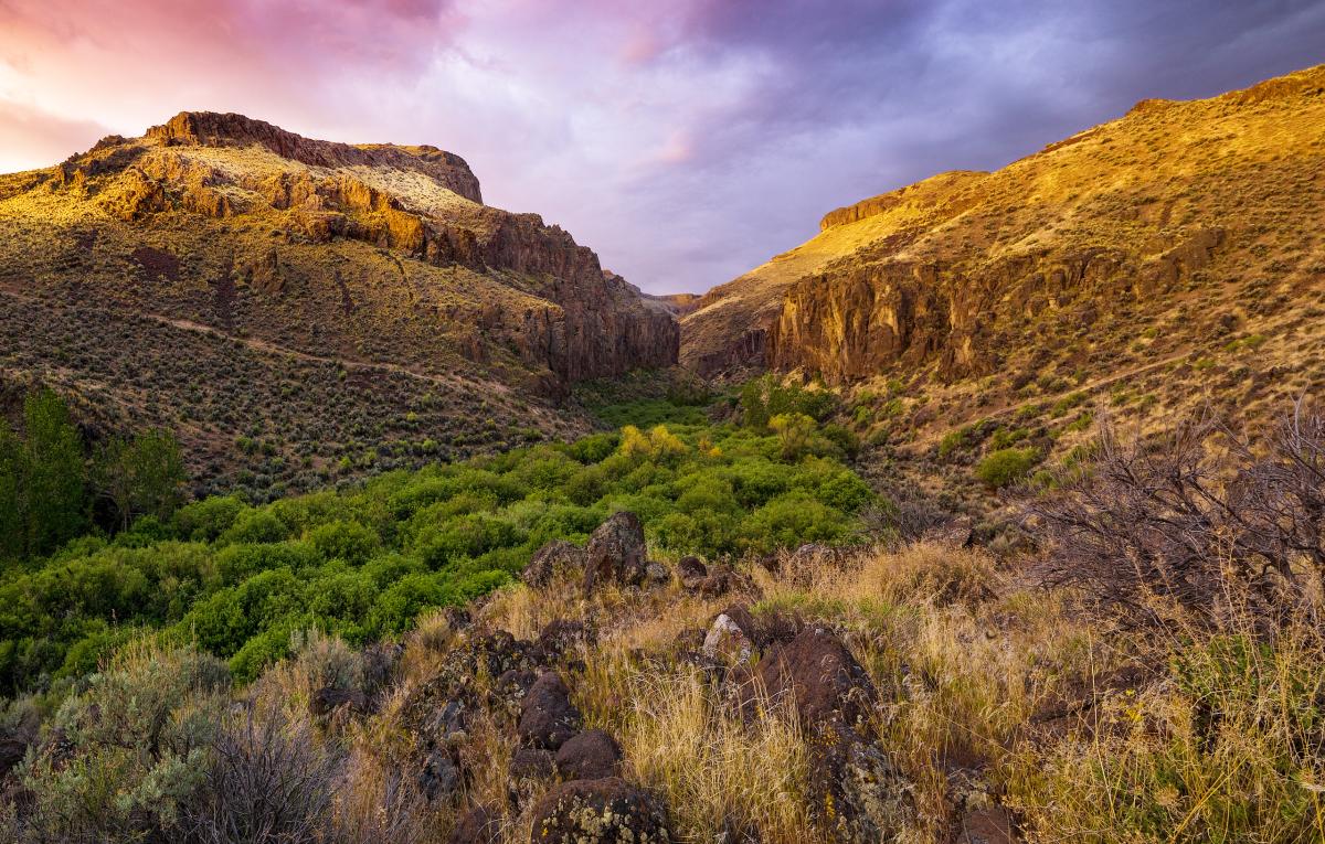 Little Jacks Creek, Idaho