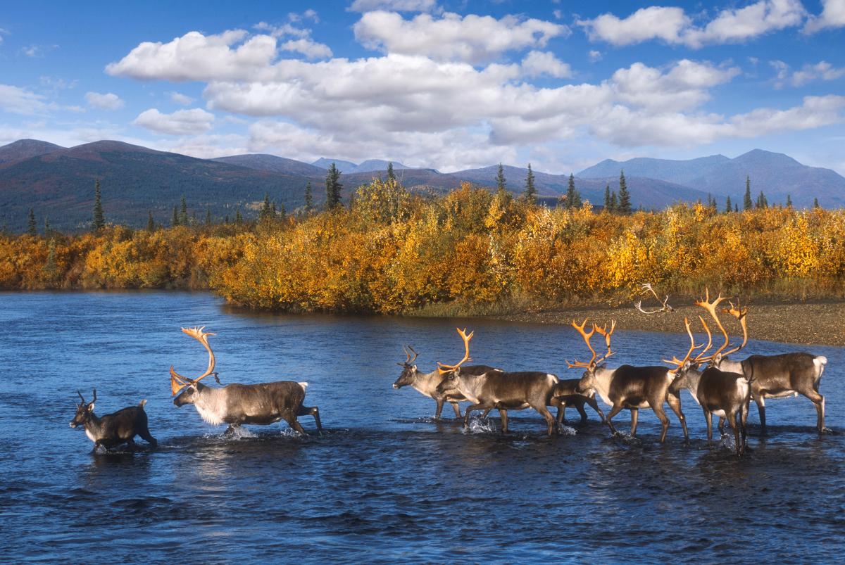 Kobuk River, Alaska