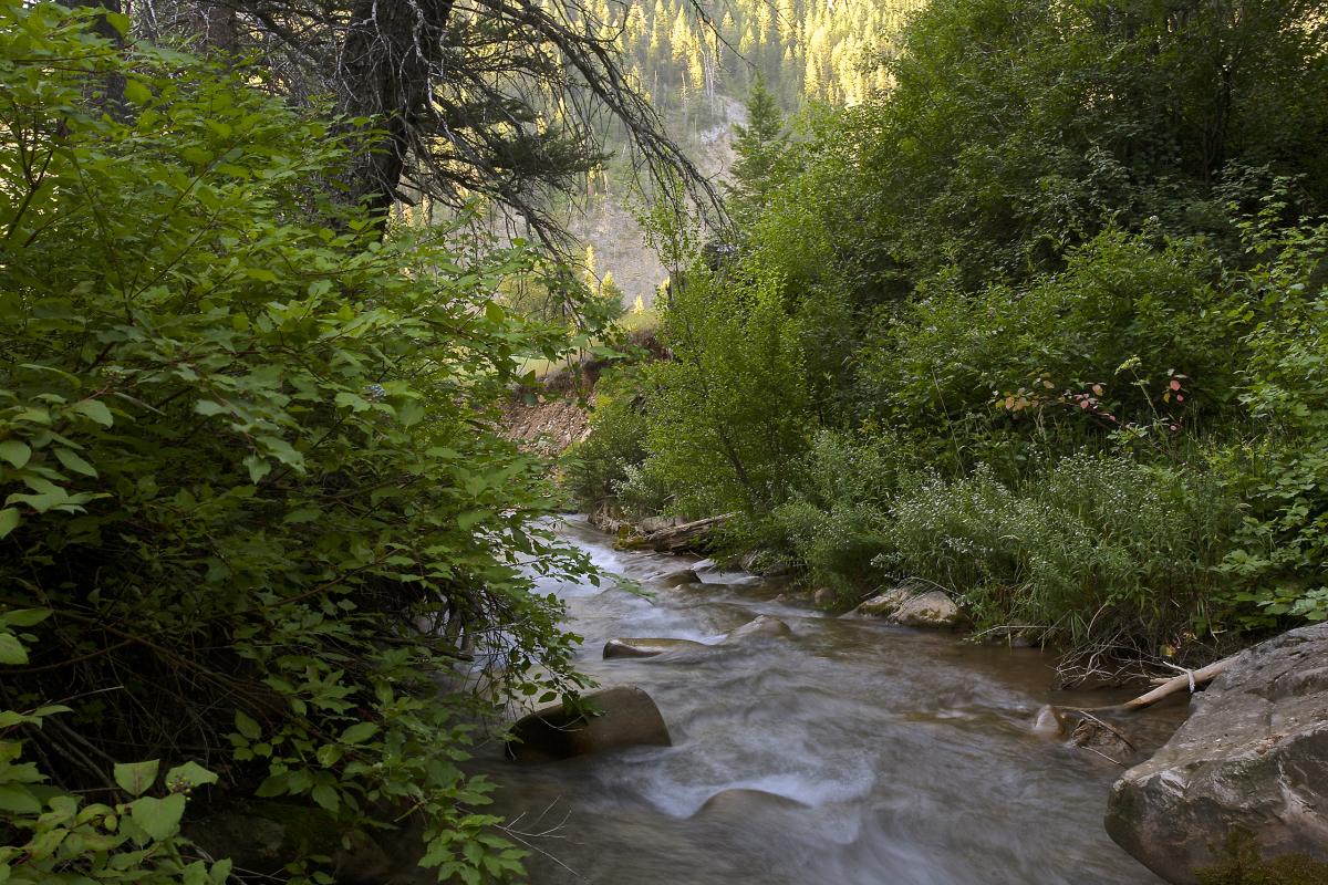 Wolf Creek, Snake River Headwaters, Wyoming