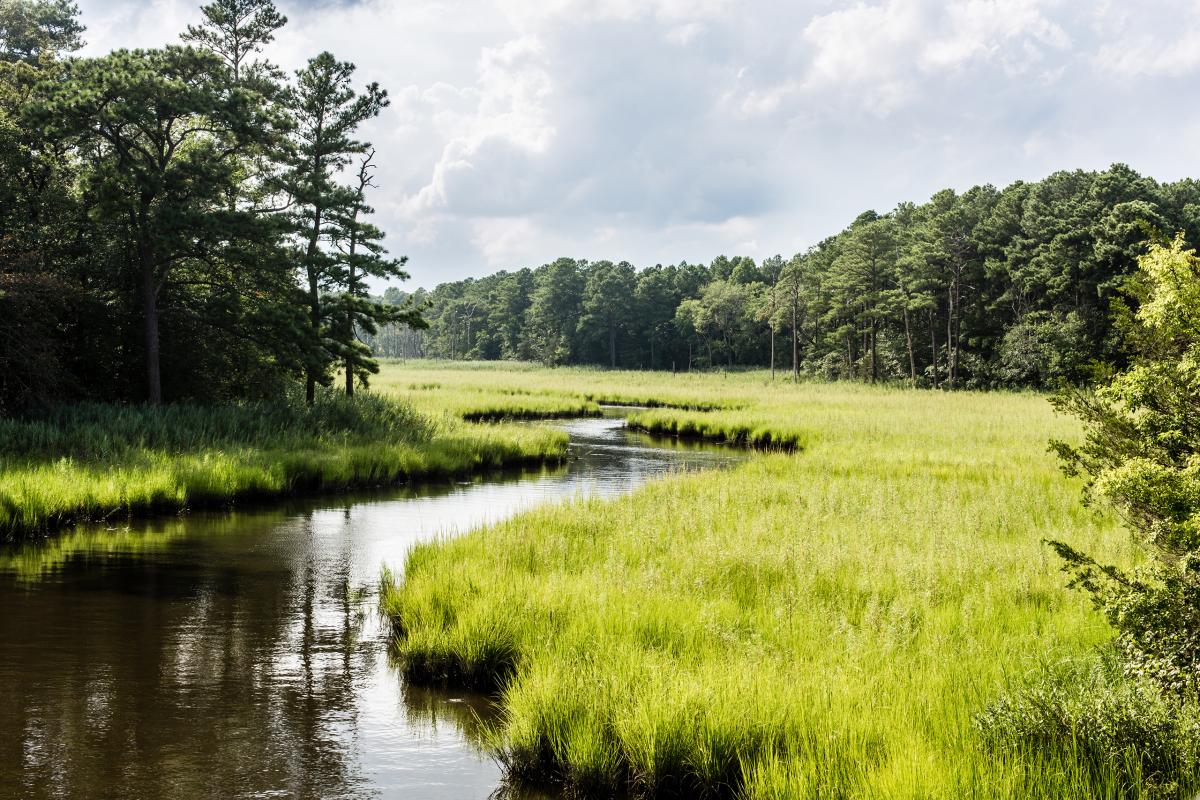 Duck Creek