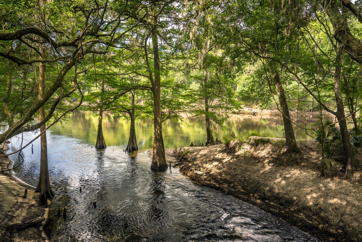 Suwannee River, Florida