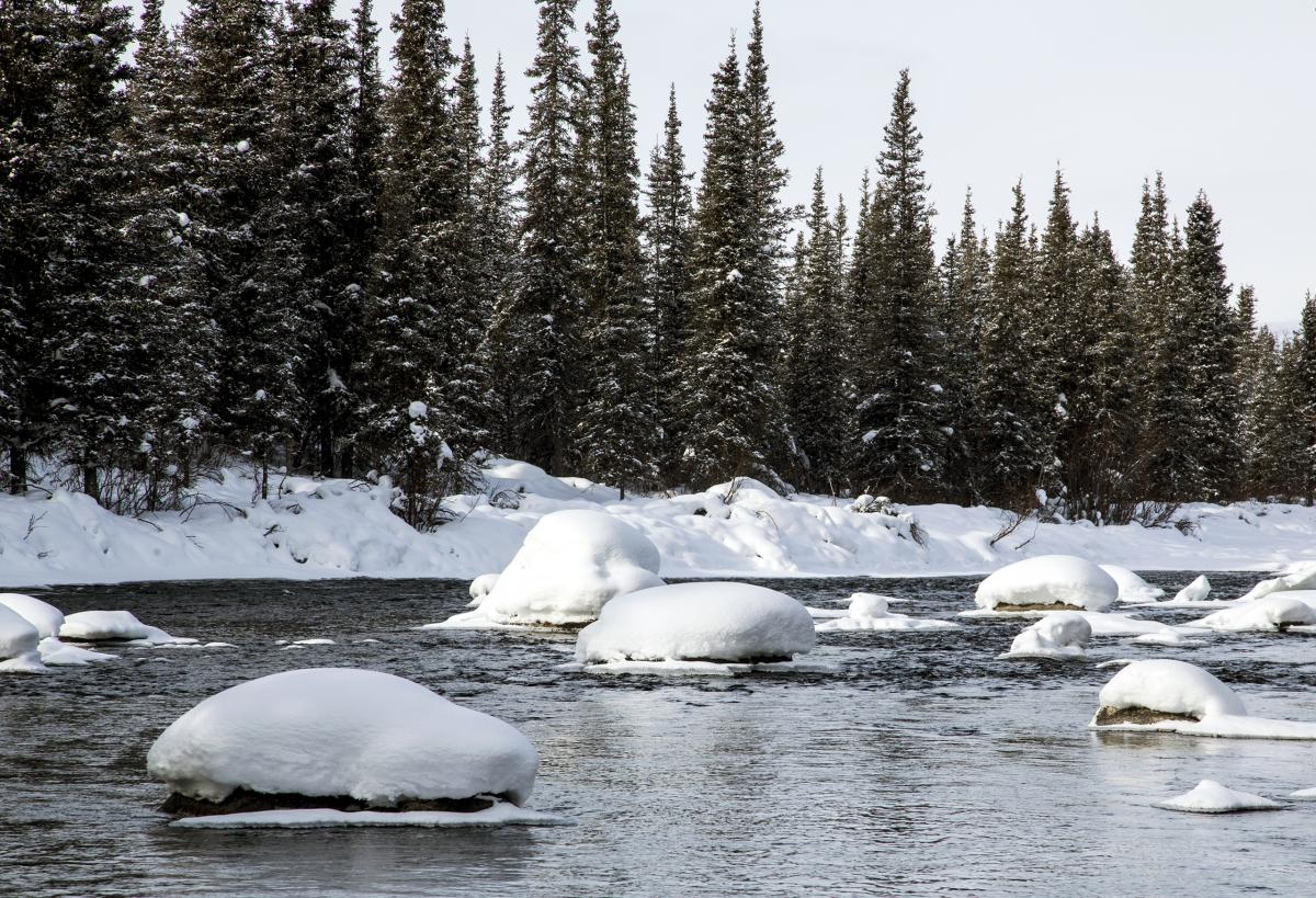 Gulkana River, Alaska