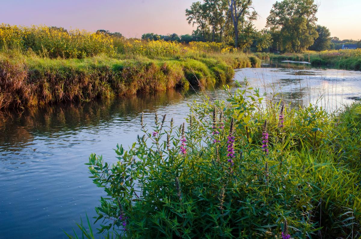 Nippersink Creek, Illinois
