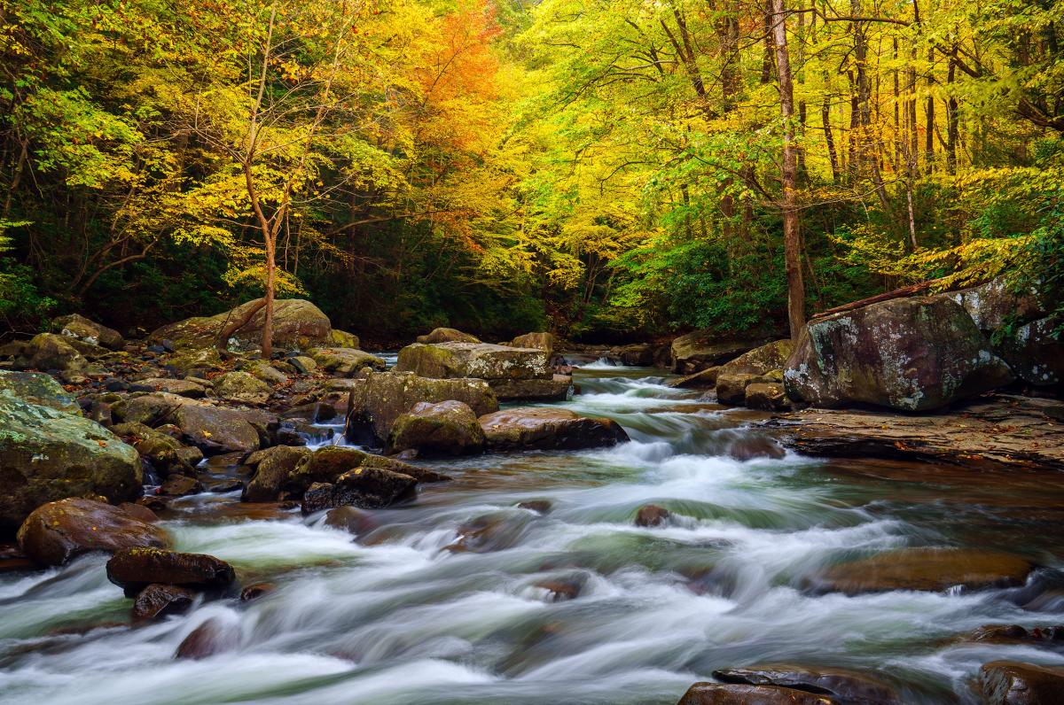 Meadow Run