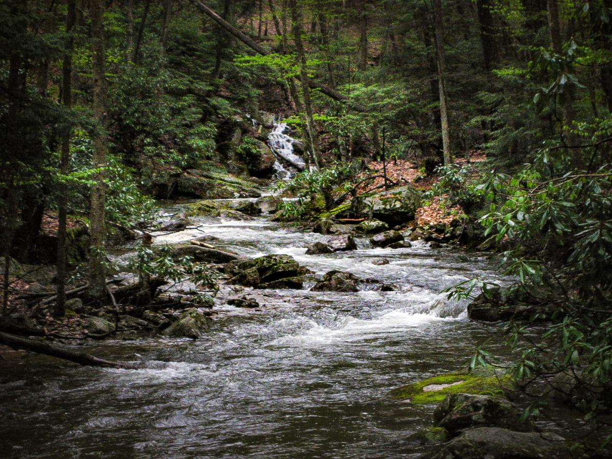 Laurel Fork Cheat River, West Virginia