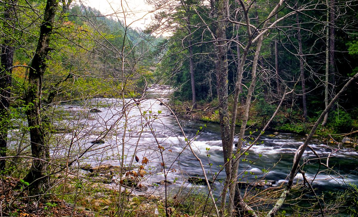 Conasauga Creek, Georgia