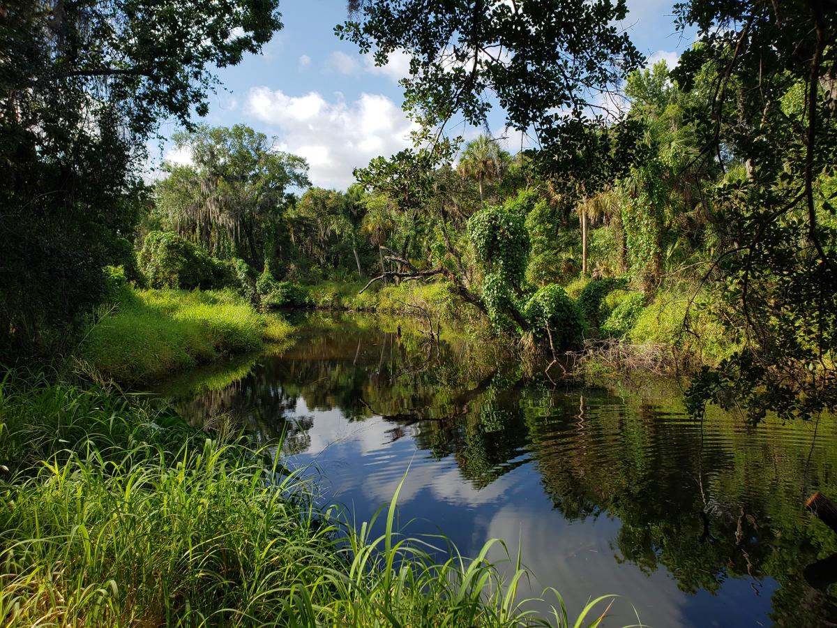 Little Manatee River, Florida
