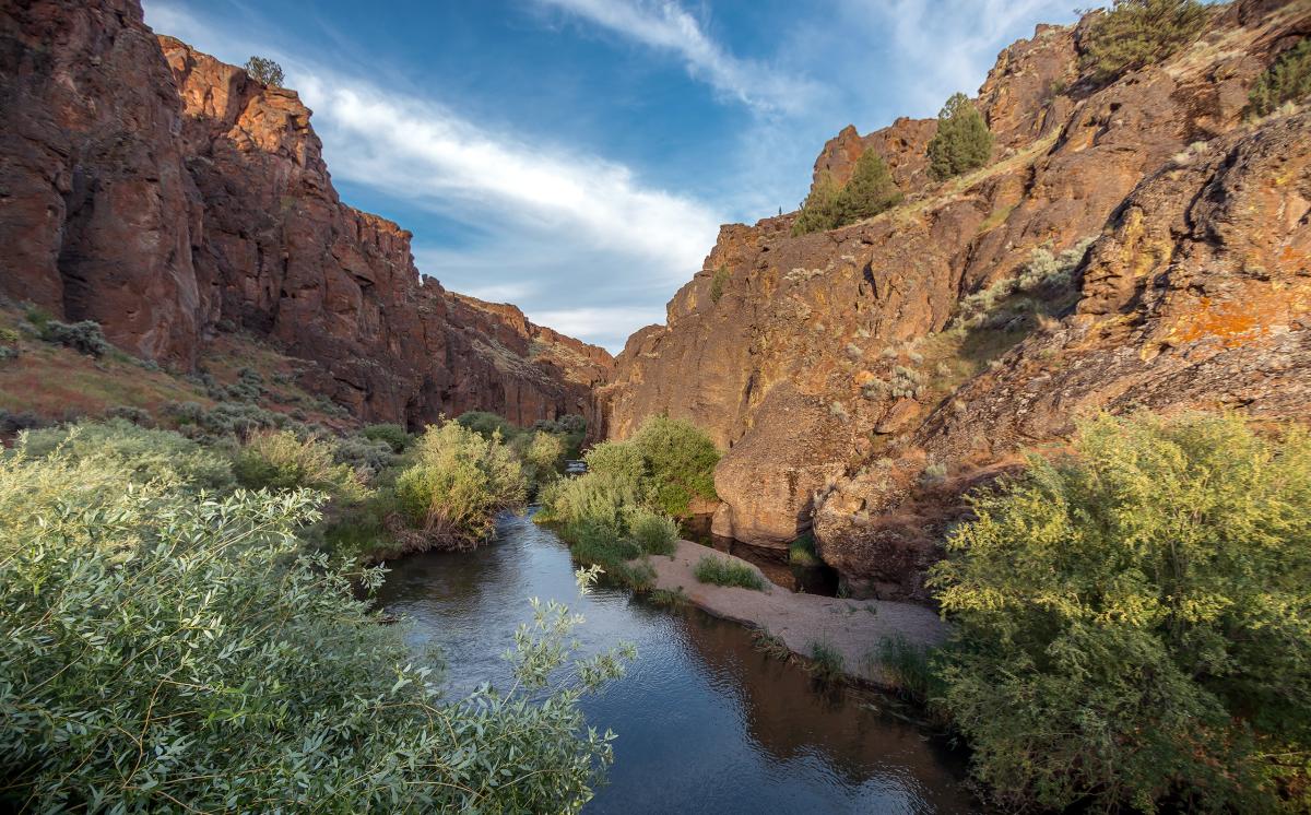 North Fork Owyhee River, Oregon