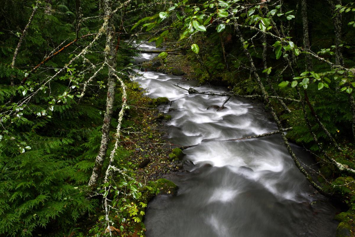 Zigzag River