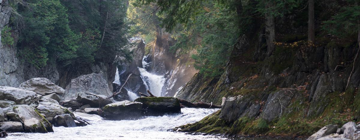Sunlight reaches across big falls as the water pours over and around the moss-covered rocky outcropping, the falls are surrounded by trees on both sides.
