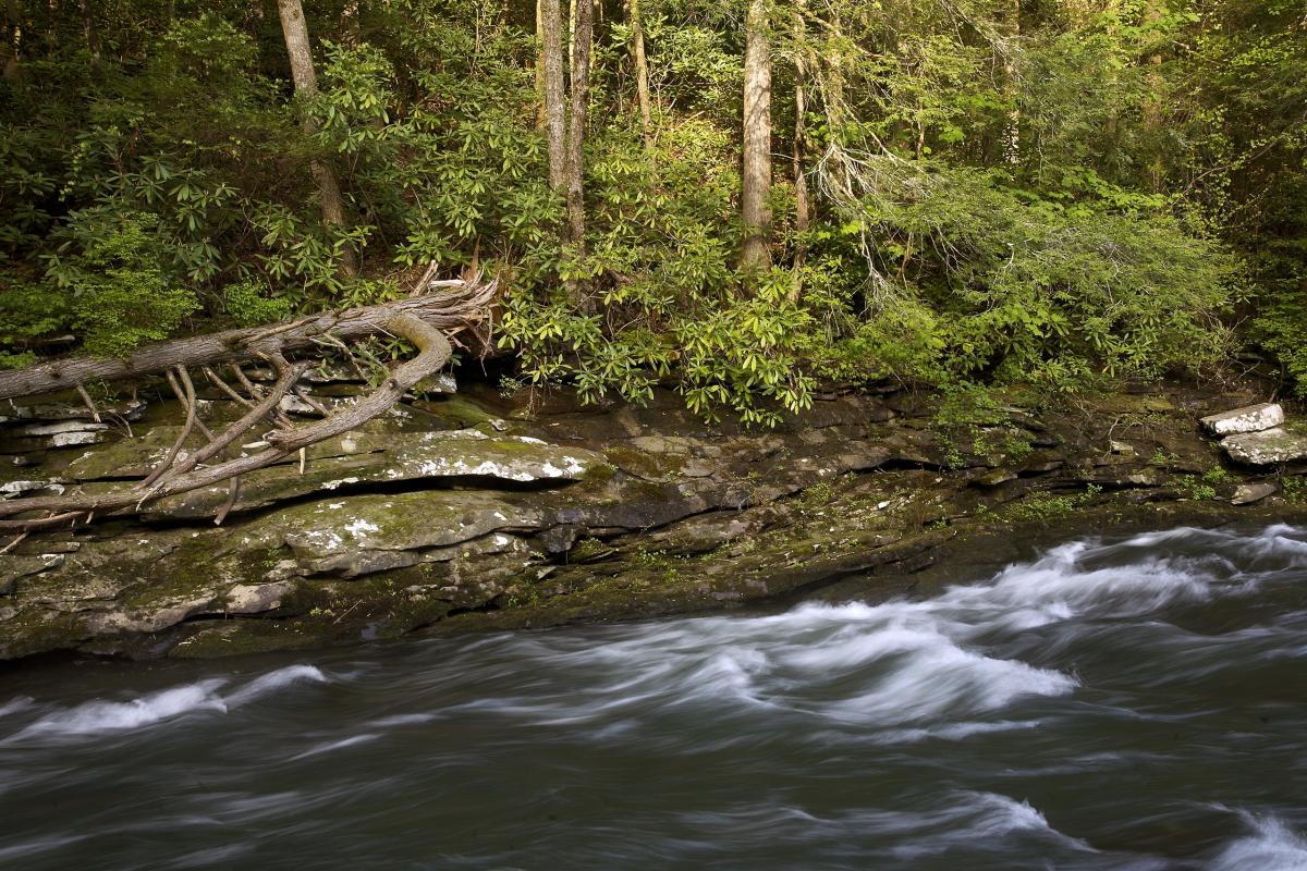 Clear Creek, Tennessee