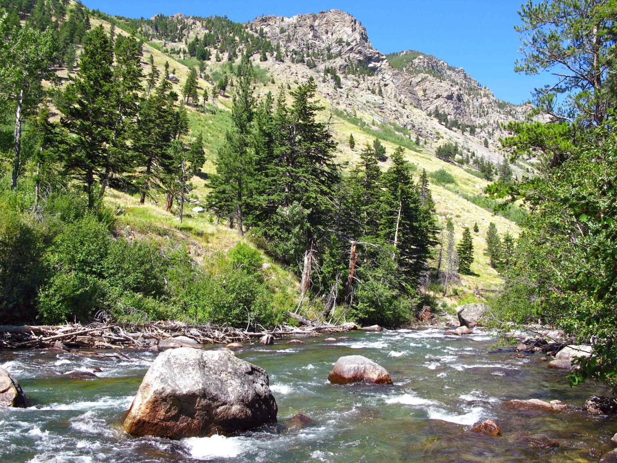 East Rosebud Creek, Montana