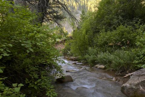 Wolf Creek, Snake River Headwaters, Wyoming