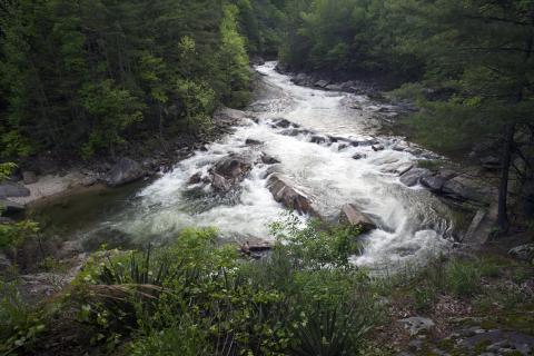 Wilson Creek, North Carolina