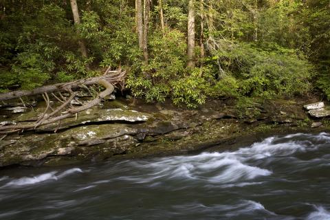 Clear Creek, Tennessee