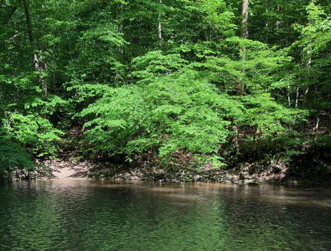 White Clay Creek, Delaware, Maryland & Pennsylvania